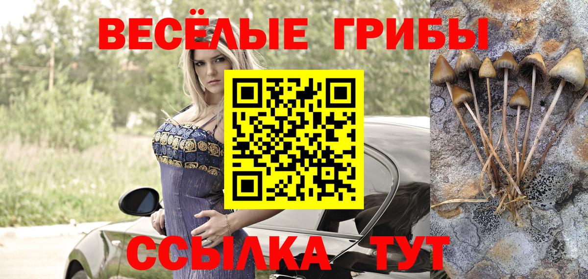 Галлюциногенные грибы мухоморы Бузулук