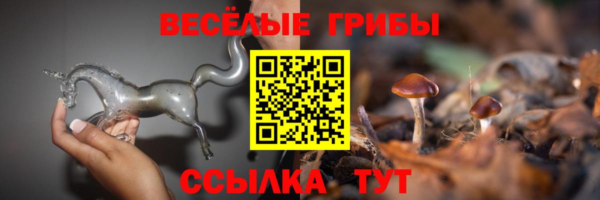 Псилоцибиновые грибы мицелий  Вход с VPN  Бузулук 